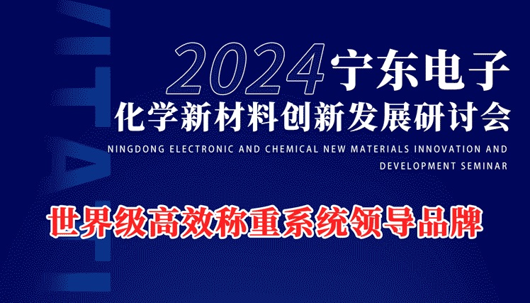 2024寧東電子化工新材料創